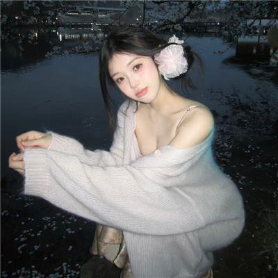 莎拉的钥匙/心锁